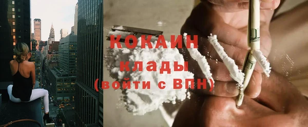прущие грибы Армянск