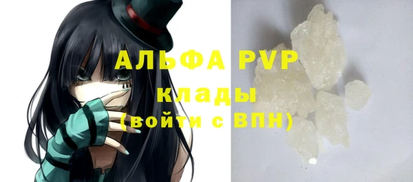 прущие грибы Армянск