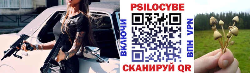 Галлюциногенные грибы Psilocybine cubensis дарк нет формула Бавлы